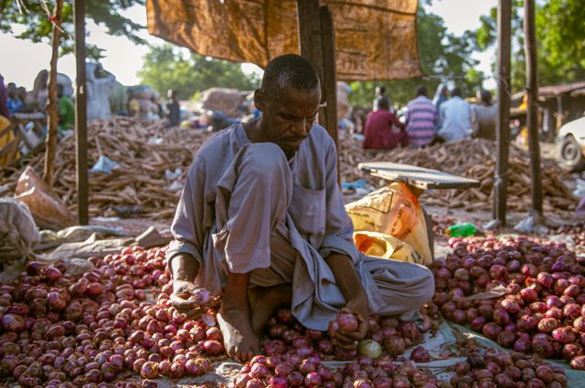 Agir contre la précarité alimentaire
